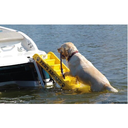 Úszó létra kutyáknak OSC