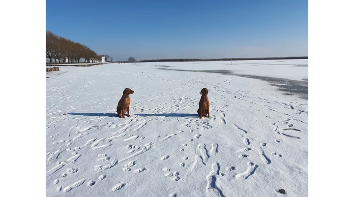 Biztonságban a Sarudi-medence jegén